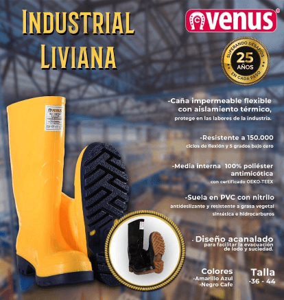 Venus Colombia